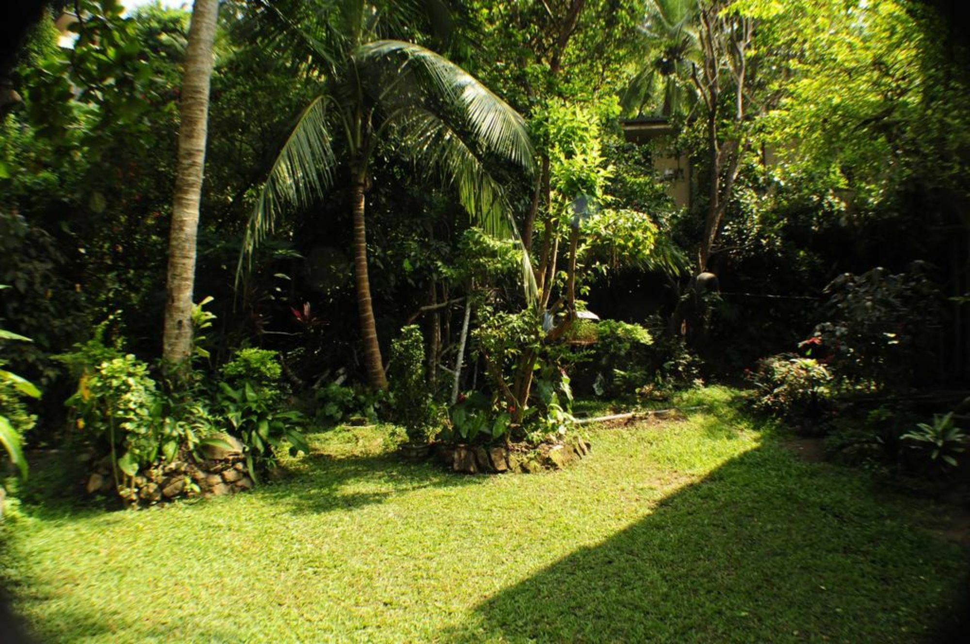 Kandy Shady Trees Villa Экстерьер фото