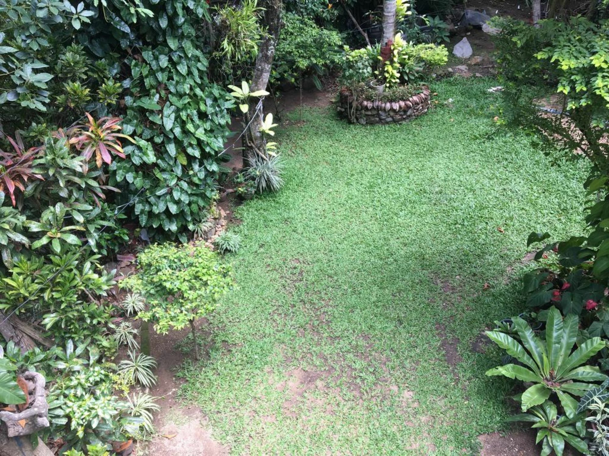 Kandy Shady Trees Villa Экстерьер фото
