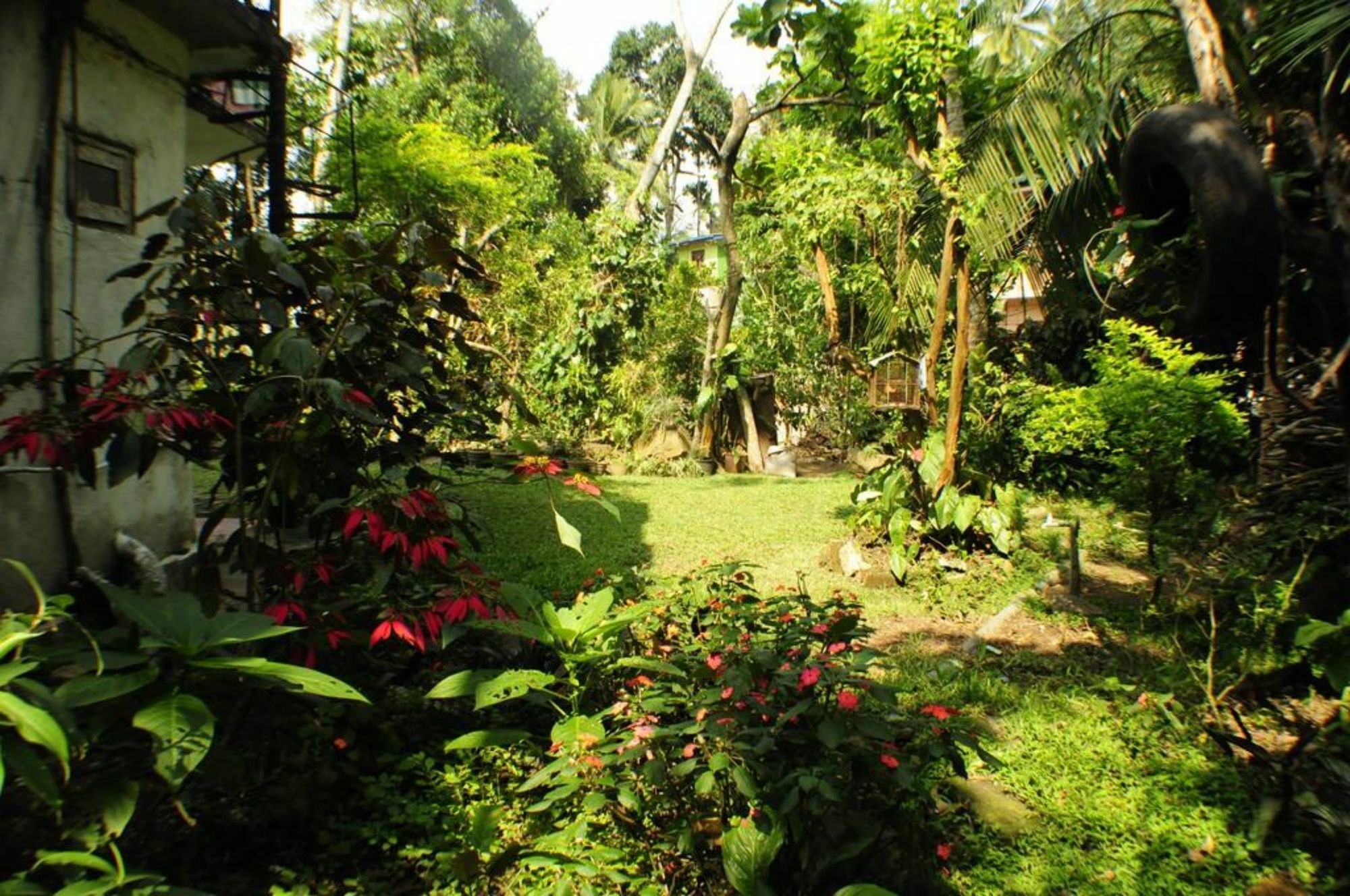 Kandy Shady Trees Villa Экстерьер фото