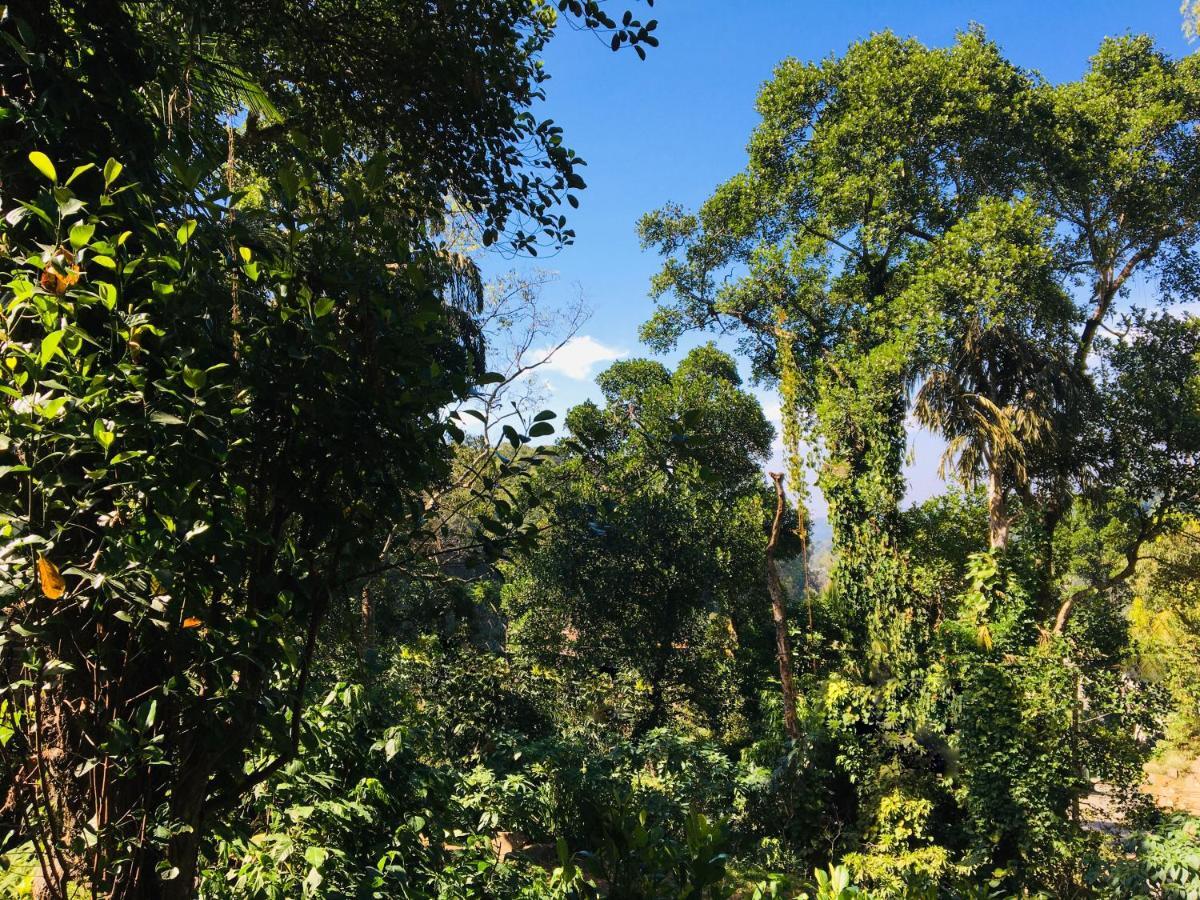 Kandy Shady Trees Villa Экстерьер фото